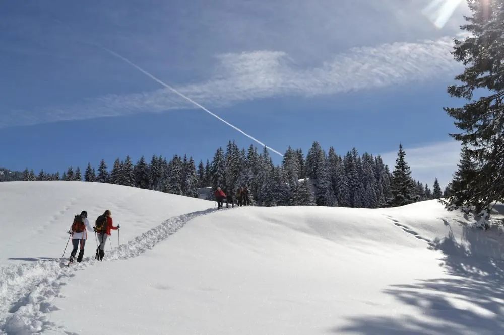 Auberge de jeunesse Chalet de la Hulotte à Entremont-le-Vieux